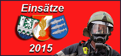 2015 Einsaetze