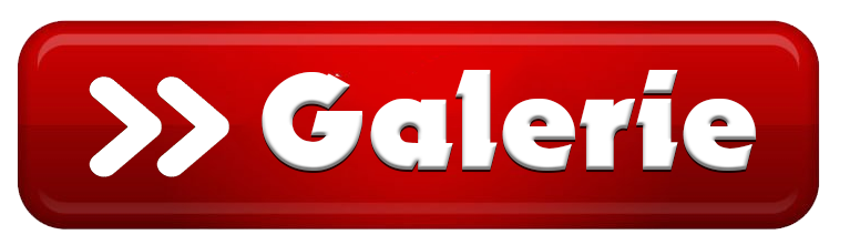 zur Galerie